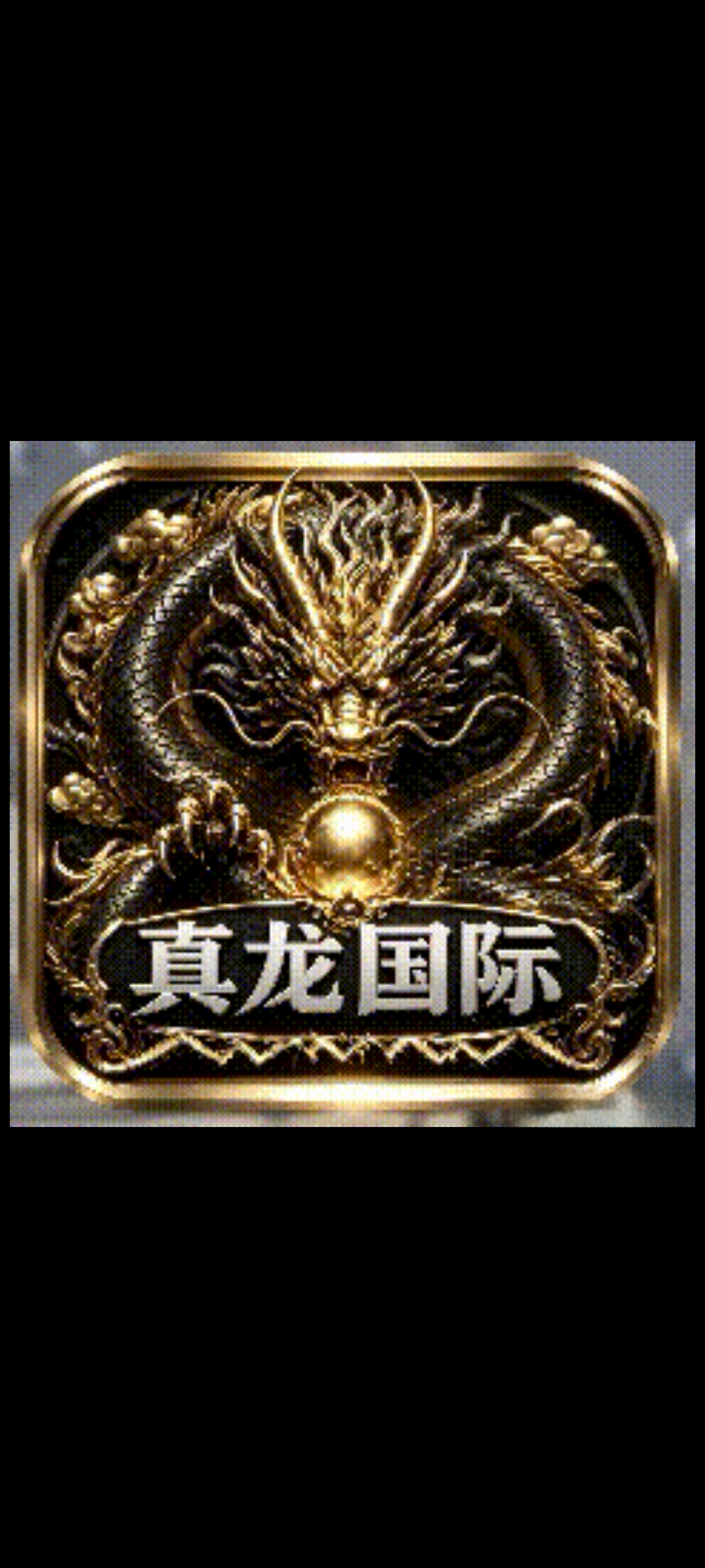 真龙国际14号开业